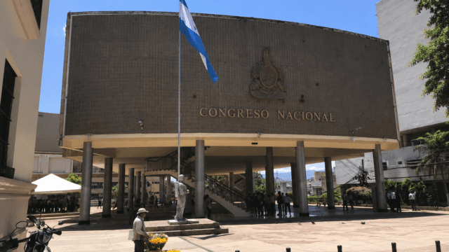 Diputados del CN de Honduras proponen definir el día Nacional de las Flores Amarillas