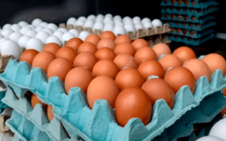 Hondureño revisa precio del cartón de huevos y entra en modo ahorro extremo
