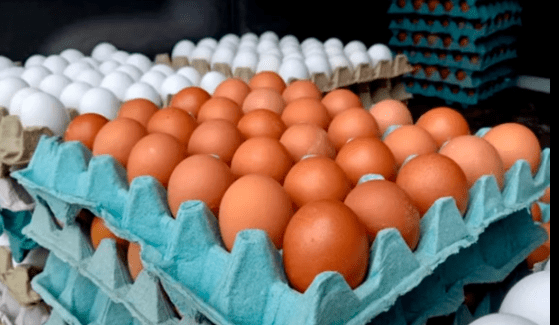 Hondureño revisa precio del cartón de huevos y entra en modo ahorro extremo
