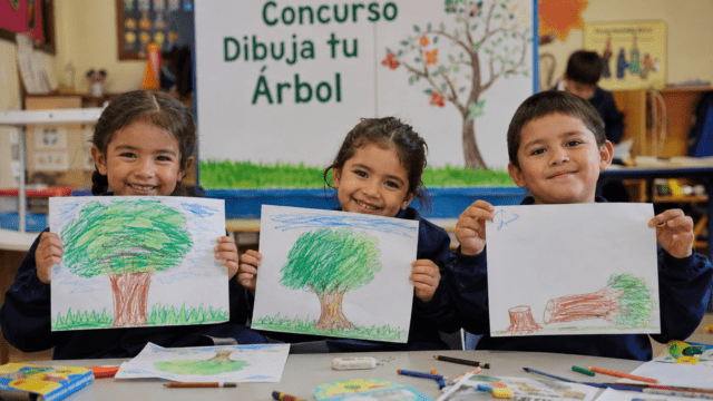 Concurso “Dibuja tu árbol” termina en tala programada por la municipalidad