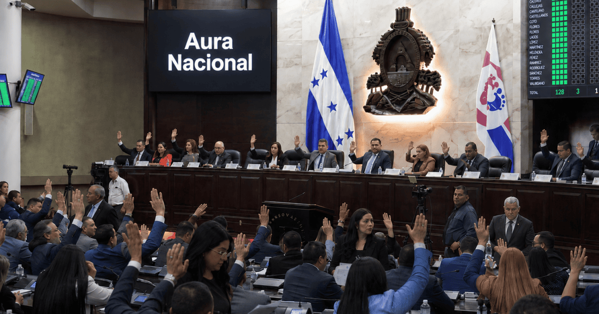 Congreso Nacional aprueba ley de “Aura Nacional” que obliga a funcionarios públicos a subir mínimo 3 reels semanales.