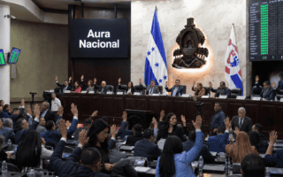 Congreso Nacional aprueba ley de “Aura Nacional” que obliga a funcionarios públicos a subir mínimo 3 reels semanales.